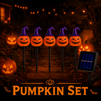 Purple-capped pumpkin (5pcs)