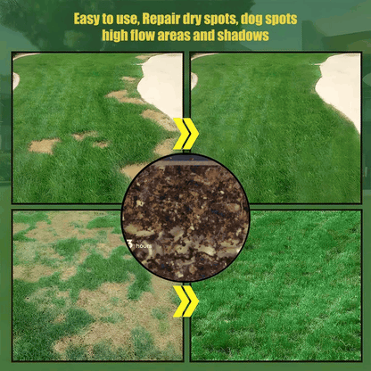 High Germination Lawn Seeds – Bare Patch & Lawn Repair