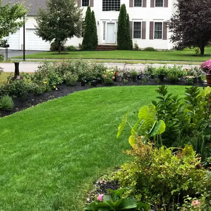High Germination Lawn Seeds – Bare Patch & Lawn Repair