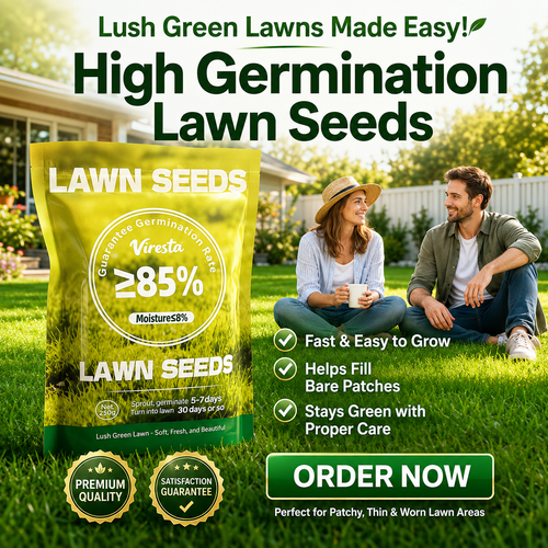 High Germination Lawn Seeds – Bare Patch & Lawn Repair
