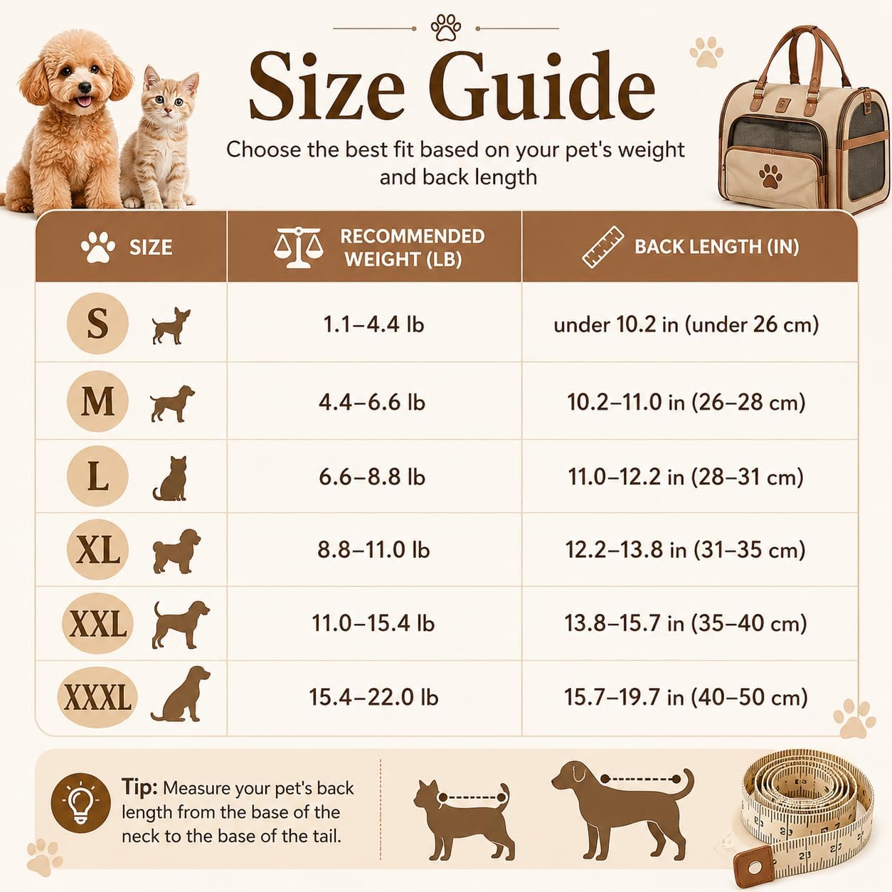 🐻 Stress-Free Travel for Your Pet – Cute Bear Carrier Bag