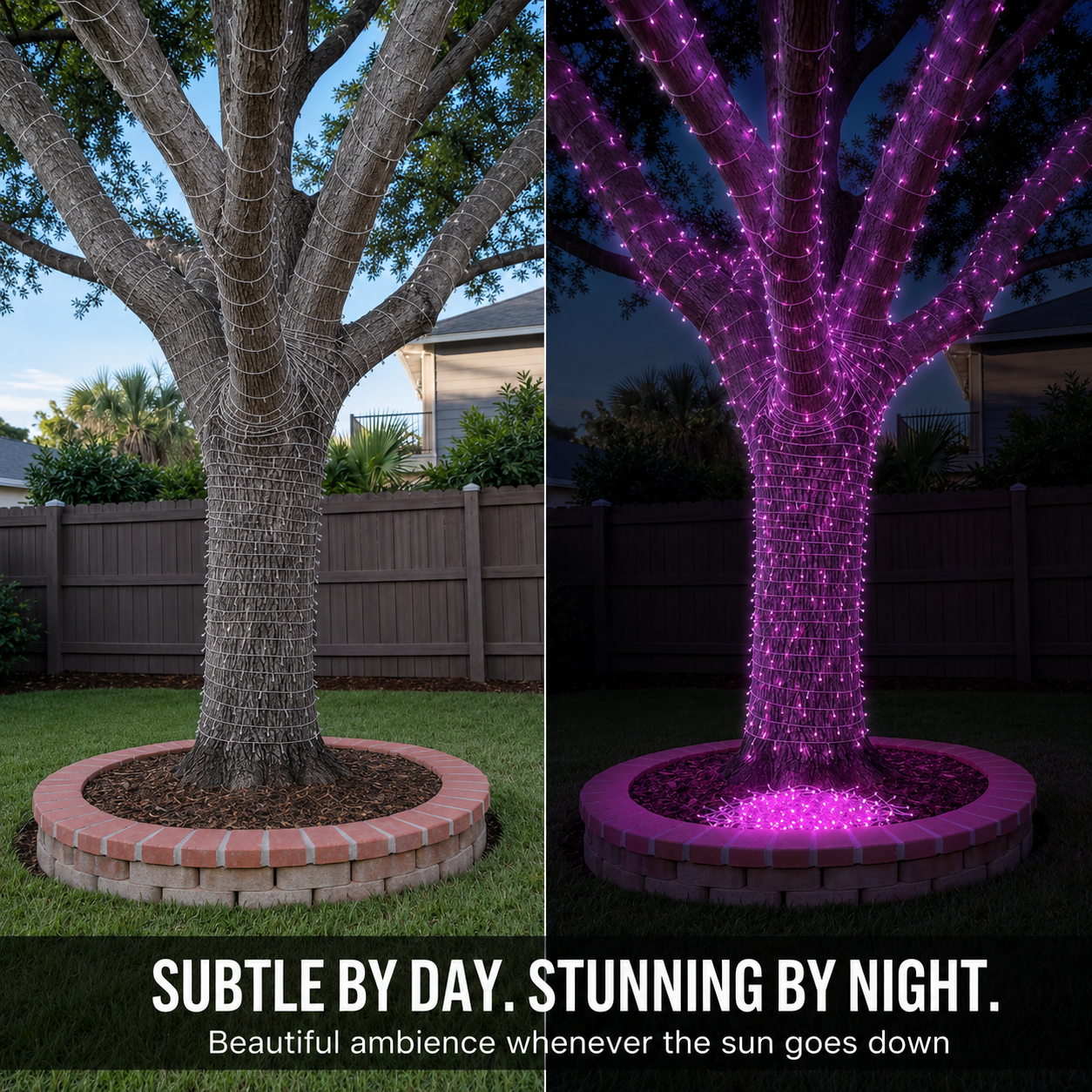 IP65 waterproof ✨ Turn Your Yard Into a Magical Colorful Wonderland! ✨