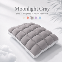 Moonlight Gray