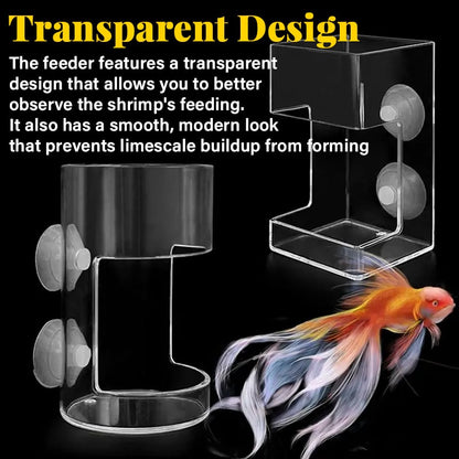 🐟Aquarium Feeding Ring and Tray